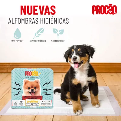 Procao Tapete Entrenamiento Mascotas 80 x 60 cm x 30 und