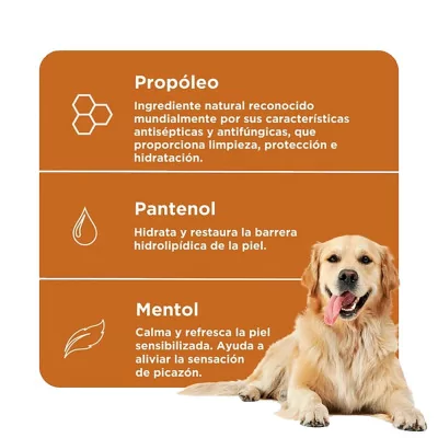 Soft Care Shampoo Propcalm para Perros y Gatos 300ml