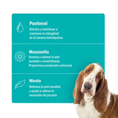 Soft Care Solución Oto Clean Up para Perros y Gatos 100ml
