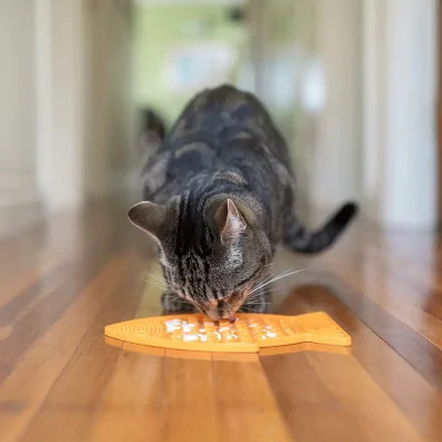 Plato Lickimat Casper Naranja Anti Ansiedad para Gatos
