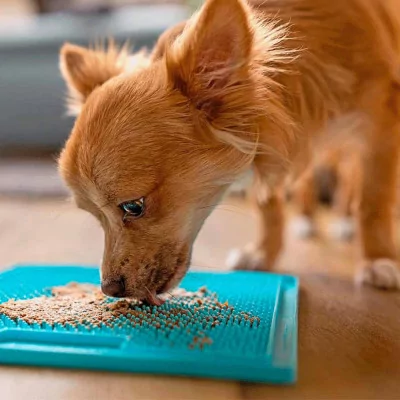 Plato Lickimat Soother Verde Anti ansiedad para Perros