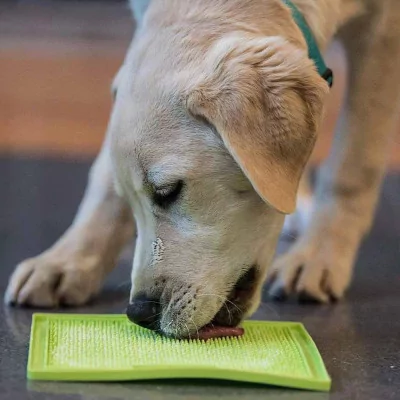 Plato Lickimat Soother Verde Anti ansiedad para Perros