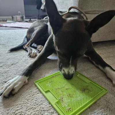 Plato Lickimat Soother Verde Anti ansiedad para Perros