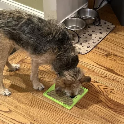 Plato Lickimat Soother Verde Anti ansiedad para Perros