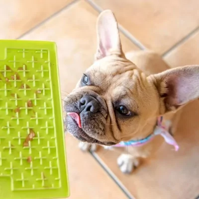 Plato para Perros Anti Ansiedad Lickimat Buddy Naranja Plato para Perros Anti Ansiedad Lickimat Buddy Naranja