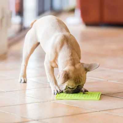 Plato para Perros Anti Ansiedad Lickimat Buddy Morado