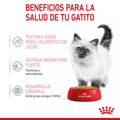 Salsa Royal Canin FHN para Gatitos 12x85gr