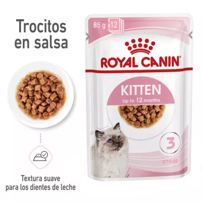 Salsa Royal Canin FHN para Gatitos 12x85gr