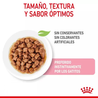Salsa Royal Canin FHN para Gatitos 12x85gr