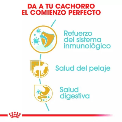 Alimento Royal Canin BHN para Perros Poodle Puppy 3Kg