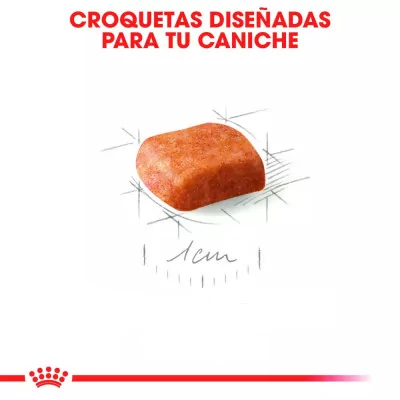 Alimento Royal Canin BHN para Perros Poodle Puppy 3Kg