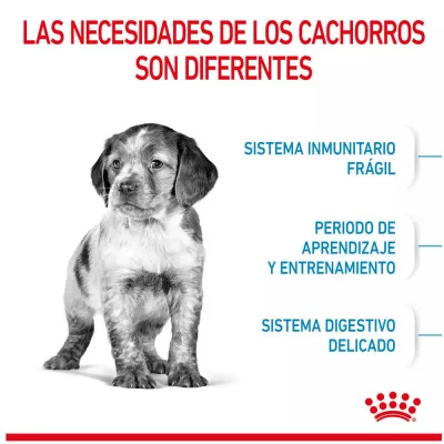 Alimento Royal Canin SHN para Perros Medianos Puppy 1Kg