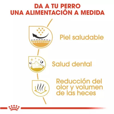 Alimento Royal Canin BHN para Perros Shih Tzu Adulto 1.5Kg