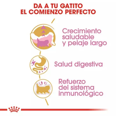 Alimento Royal Canin FBN para Gatitos Persa 4Kg