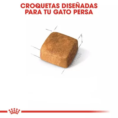 Alimento Royal Canin FBN para Gatitos Persa 4Kg