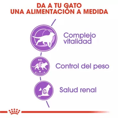 Alimento Royal Canin FHN para Gatos Esterilizados +7 3.5Kg