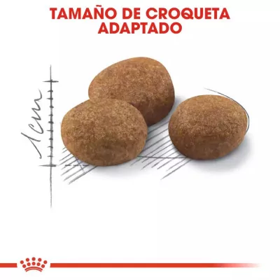 Alimento Royal Canin FHN para Gatos Esterilizados +7 3.5Kg
