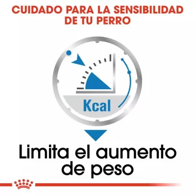 Paté Royal Canin CCN para Control de Peso en Perros 12x85gr - 3