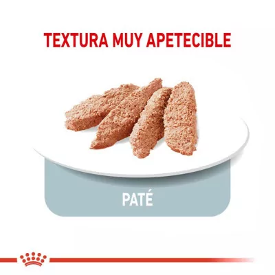 Paté Royal Canin CCN para Control de Peso en Perros 12x85gr - 4
