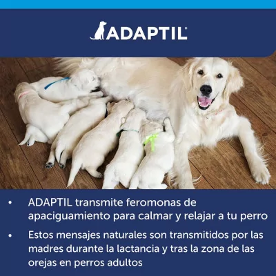 Difusor Antiestrés para Perros Adaptil con Recarga 48ml