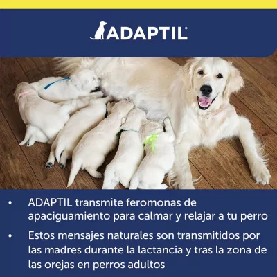 Spray Antiestrés para Perros Adaptil Transport 60ml -5