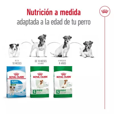 Alimento Royal Canin SHN para Perros Mini Adulto 4Kg
