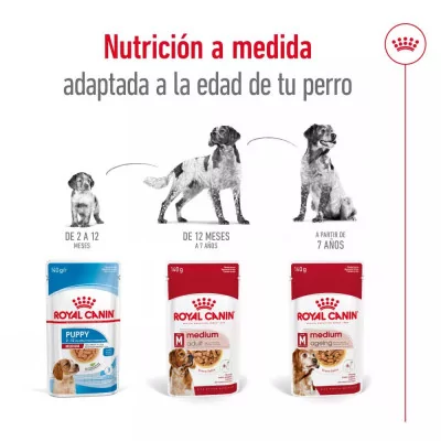 Salsa Royal Canin SHN para Perros Medianos Adultos 10x140gr