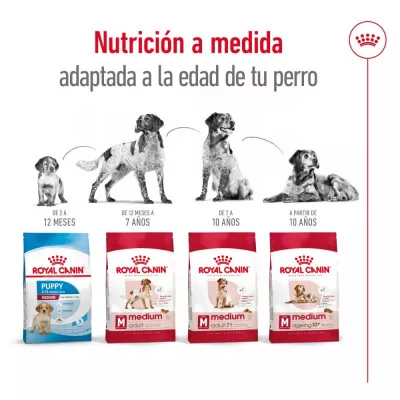 Alimento Royal Canin SHN para Perros Medianos Adultos 15Kg