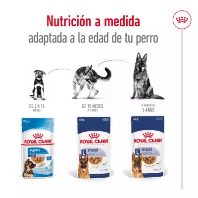 Salsa Royal Canin SHN para Perros Maxi Adultos 10x140gr