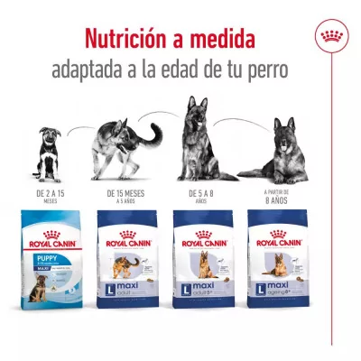 Alimento Royal Canin SHN para Perros Maxi Adultos 15Kg