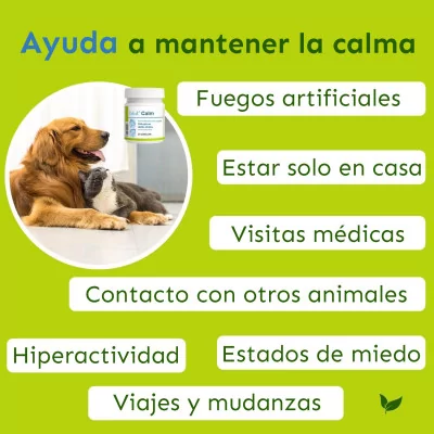 Suplemento Relajante para Perros y Gatos Dolvit Calm 30 Tab