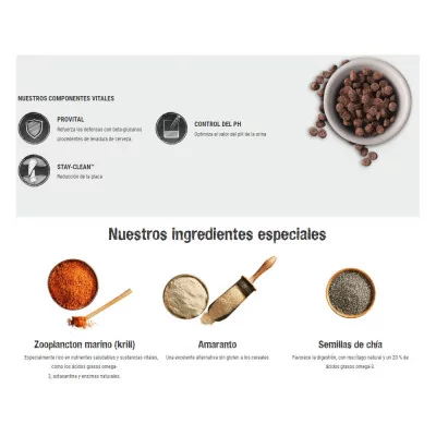 Leonardo Libre de Granos para Gatos Adultos Salmón 1.8 Kg Leonardo - 2