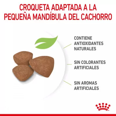 Alimento Royal Canin SHN para Perros Mini Puppy 800gr