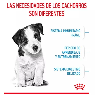 Alimento Royal Canin SHN para Perros Mini Puppy 800gr