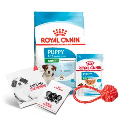 ROYAL CANIN PACK MINI PUPPY 800G