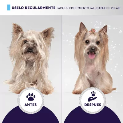 HYDRA Xtreme Shampoo 5lt Champú Limpieza Profunda Perro gato