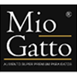 Mio Gatto